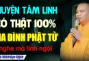 Chuyện Tâm Linh Có Thật Tại Gia Đình Phật Tử (nghe mà tỉnh ngộ) _ Thầy Thích Đạo Thịnh.
