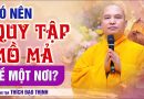 Có Nên Quy Tập Mồ Mả Về Một Nơi ? | Thầy Thích Đạo Thịnh
