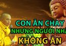Con Ăn Chay Nhưng Gia Đình Không Ăn Lễ Tết Vẫn Giết Thịt Thì Phải Làm Sao ? Đđ.Thích Đạo Thịnh