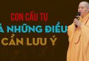 Con Cầu Tự Và Những Điều Cần Lưu Ý