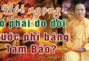 Con Của Con Bị Nói Ngọng Có Phải Do Đời Trước Phỉ Báng Tam Bảo Không? L Đ.Đ Thích Đạo Thịnh