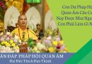 Con Dự Pháp Hội Quán Âm Cầu Con Nay Được Như Nguyện, Con Phải Làm Gì Nữa L Đ,Đ Thích Đạo Thịnh