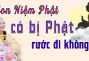 Con Niệm Phật, Có Bị Phật Rước Đi Không? L Thầy Thích Đạo Thịnh