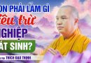 Con Phải Làm Gì Để Tiêu Trừ Nghiệp Sát Sinh ? | Thầy Thích Đạo Thịnh