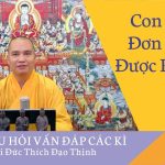 Con Sống Đơn Thân Được Không? L Đ, Thích Đạo Thịnh