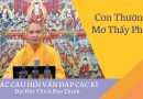 Con Thường Mơ Thấy Phật L Đ,Đ Thích Đạo Thịnh