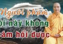 Công Đức Người Giảng Pháp Và Người Nghe Pháp, Người Phạm Tội Này Không Bao Giờ Sám Hối Được