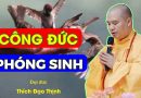 Công Đức Phóng Sinh| Thầy Thích Đạo Thịnh