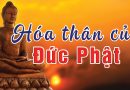 Cung Kính Đỉnh Lễ Danh Hiệu Đức Phật Dài Nhất Thế Giới Tiêu Trừ Hết Nghiệp Chướng