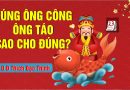Cúng Ông Công Ông Táo Sao Cho Đúng? ( 23 Tháng Chạp) L Đ.Đ Thích Đạo Thịnh