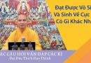 Đạt Được Vô Sanh Và Sanh Về Cực Lạc Có Gì Khác Nhau  Đ,Đ Thích Đạo Thịnh