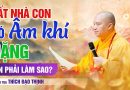 Đất Nhà Con Có Âm Khí Nặng, Con Phải Làm Sao?  | Thầy Thích Đạo Thịnh