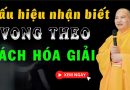 Dấu Hiệu Để Biết Vong Theo Và Cách Hóa Giải Vong Nhập L Đ.Đ Thích Đạo Thịnh