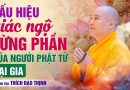 Dấu Hiệu Giác Ngộ Từng Phần Của Người Phật Tử Tại Gia | Thầy Thích Đạo Thịnh
