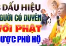 Dấu Hiệu Người Có Duyên Với PHẬT Ắt Sẽ Được Phù Hộ Độ Trì… – Thầy Thích Đạo thịnh.