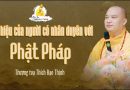 Dấu Hiệu Người Có Nhân Duyên Với Phật Pháp | Thượng Tọa Thích Đạo Thịnh