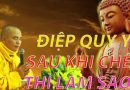 Điệp Quy Y Sau Khi Chết Thì Làm Sao ?