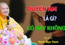 Duyên Âm Là Gì, Có Hay Không? | Thầy Thích Đạo Thịnh