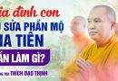 Gia Đình Con Tu Sửa Phần Mộ Gia Tiên Thế Nào Cho Đúng?  | Thượng Tọa Thích Đạo Thịnh