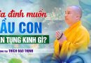 Gia Đình Muốn Cầu Con, Nên Tụng Kinh Gì?| Thượng Tọa Thích Đạo Thịnh