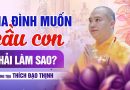Gia Đình Muốn Cầu Con, Phải Làm Sao? | Thượng Tọa Thích Đạo Thịnh