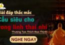 Giải Đáp Thắc Mắc Cầu Siêu Cho Vong Linh Thai Nhi |Thượng Tọa Thích Đạo Thịnh