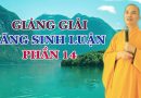 Giảng Giải Vãng Sinh Luận Phần 14 L Đ.Đ Thích Đạo Thịnh