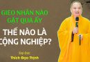 Gieo Nhân Nào Gặt Quả Ấy, Thế Nào Là Cộng Nghiệp? | Thầy Thích Đạo Thịnh