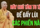 Hãy Chú Tâm Tu Tập Để Đẩy Lùi Các Phiền Não