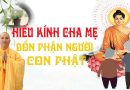 Hiếu Kính Cha Mẹ – Bổn Phận Người Con Phật