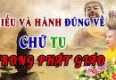 Hiểu Và Hành Đúng Về Chữ  Tu  Trong Phật Giáo
