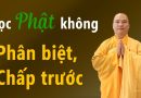 Học Phật Không Được Phân Biệt Hệ Phái, Không Được Chấp Trước Những Gì Của Mình L Đ,Đ Thích Đạo Thịnh