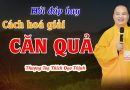 Hỏi Đáp Hay Cách Hóa Giải Căn Quả |Thượng Tọa Thích Đạo Thịnh