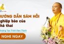 Hướng Dẫn Sám Hối Nghiệp Báo Của Phá Thai |Thượng Tọa Thích Đạo Thịnh