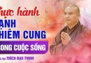 Hướng Dẫn Tu Tập: Thực Hành Hạnh Khiêm Cung Trong Cuộc Sống | Thượng Tọa Thích Đạo Thịnh