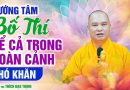 Hướng Tâm Bố Thí Kể Cả Trong Hoàn Cảnh Khó Khăn | Thầy Thích Đạo Thịnh