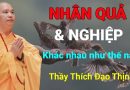 Khác Nhau Giữa Nghiệp Và Nhân Quả| Thầy Thích Đạo Thịnh