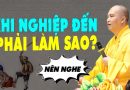 Khi Nghiệp Đến Làm Sao Trả Hết (rất hay) – Thầy Thích Đạo Thịnh