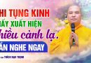Khi Tụng Kinh Mà Xuất Hiện Nhiều Cảnh Lạ – Cần Lắng Nghe Ngay | Thầy Thích Đạo Thịnh