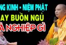 Khi Tụng Kinh, Niệm Phật Mà Buồn Ngủ Là Do Nghiệp Gì? – Nên Nghe Để Biết Cách Hóa Giải