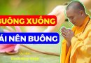 Làm Sao Để Được An Lạc?| Thầy Thích Đạo Thịnh
