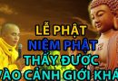 Lễ Phật Niệm Phật Thấy Được Vào Cảnh Giới Khác . Đđ.Thích Đạo Thịnh