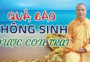 Lỡ Lấy Đồ Trong Chùa Về Nhà Để Dùng, Quả Báo Không Sinh Được Con Trai L Đ.Đ Thích Đạo Thịnh