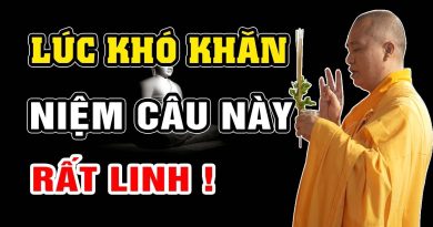 Lúc Khó Khăn Nhớ Niệm Câu Này Linh Ứng Vô Cùng | Thầy Thích Đạo Thịnh