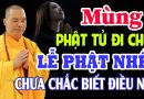 MÙNG 1 Phật Tử ĐI CHÙA ,LẠY PHẬT Nhiều Nhưng Chưa Chắc Biết Điều Này – Thầy Thích Đạo Thịnh