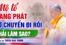 Mộ Tổ Đang Phát Lỡ Chuyển Đi Rồi Phải Làm Sao ? | Thầy Thích Đạo Thịnh