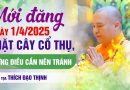 Mới Đăng Ngày 01/04/2025 Chặt Cây Cổ Thụ, Những Điều Cần Nên Tránh | Thượng Tọa Thích Đạo Thịnh