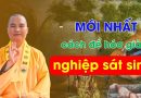 Mới Nhất Cách Để Hóa Giải Nghiệp Sát Sinh| Thầy Thích Đạo Thịnh