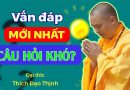Mới Nhất, Câu Hỏi Khó| Thầy Thích Đạo Thịnh