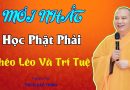 Mới Nhất – Học Phật Cần Phải Khéo Léo Và Trí Tuệ| Thầy Thích Đạo Thịnh